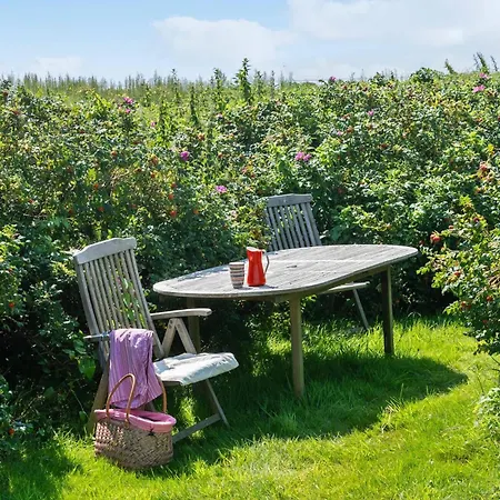 Stunning In V With Wifi